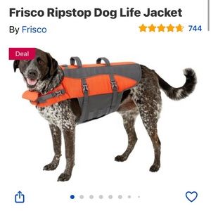 Orange and grey dog life jacket flotation device for swimming